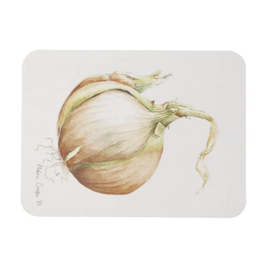 Studie van de Ui 1993 Magneet (Horizontaal)