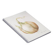 Studie van de Ui 1993 Notitieboek (Rechterzijde)