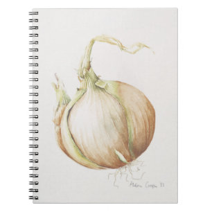 Studie van de Ui 1993 Notitieboek