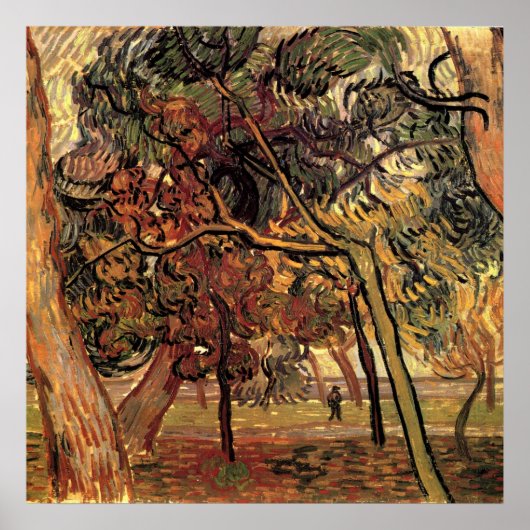 Studie van dennenbomen door Vincent van Gogh Poster (Voorkant)