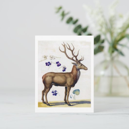 Studie van Der en Bloem, Arcimboldo Briefkaart (Staand voorkant)