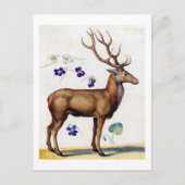 Studie van Der en Bloem, Arcimboldo Briefkaart (Voorkant)