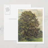 Studie van een asboom, c.1851 (olie op papier op d briefkaart (Voorkant / Achterkant)