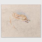 Studie van een Crouching Fox (door John Frederick  Cadeaupapier (Vlak)