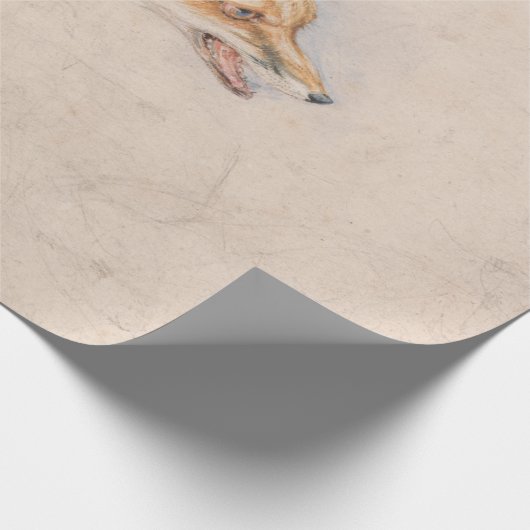 Studie van een Crouching Fox (door John Frederick  Cadeaupapier (Hoek)