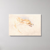 Studie van een Crouching Fox (door John Frederick Canvas Afdruk (Voorkant)
