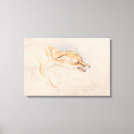 Studie van een Crouching Fox (door John Frederick  Canvas Afdruk