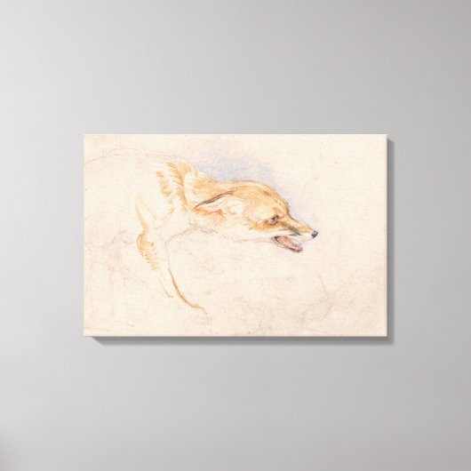 Studie van een Crouching Fox (door John Frederick  Canvas Afdruk (Voorkant)