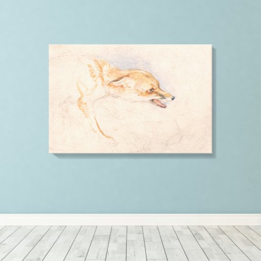 Studie van een Crouching Fox (door John Frederick Canvas Afdruk (Insitu (Houten vloer))