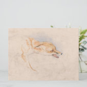 Studie van een Crouching Fox (door John Frederick Kaart (Staand voorkant)