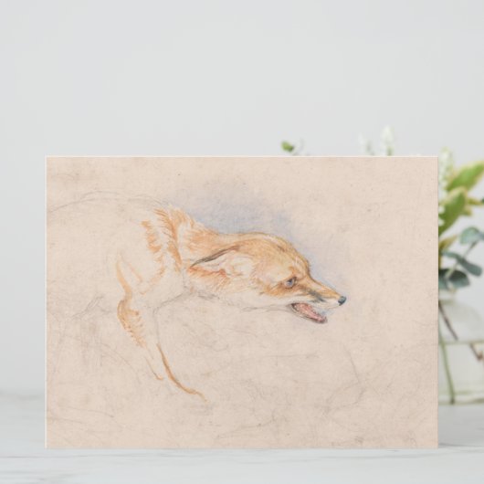 Studie van een Crouching Fox (door John Frederick Kaart (Staand voorkant)