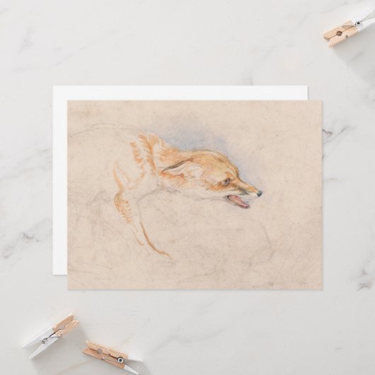 Studie van een Crouching Fox (door John Frederick  Kaart (Voorkant / Achterkant in situ)