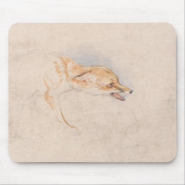 Studie van een Crouching Fox (door John Frederick  Muismat