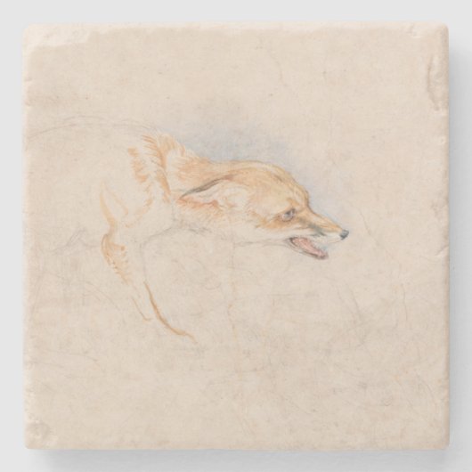 Studie van een Crouching Fox (door John Frederick Stenen Onderzetter (Voorkant)