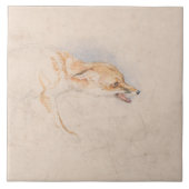 Studie van een Crouching Fox (door John Frederick  Tegeltje (Voorkant)