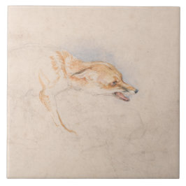 Studie van een Crouching Fox (door John Frederick  Tegeltje