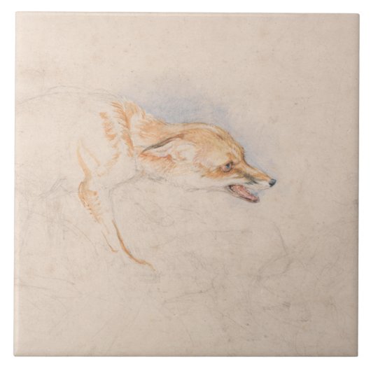 Studie van een Crouching Fox (door John Frederick Tegeltje (Voorkant)