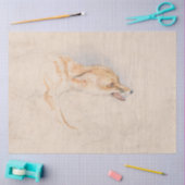 Studie van een Crouching Fox (door John Frederick  Tissuepapier (Craft)