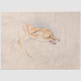 Studie van een Crouching Fox (door John Frederick  Tissuepapier