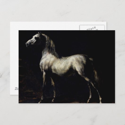 Studie van een Dapple Grey Briefkaart (Voorkant / Achterkant)