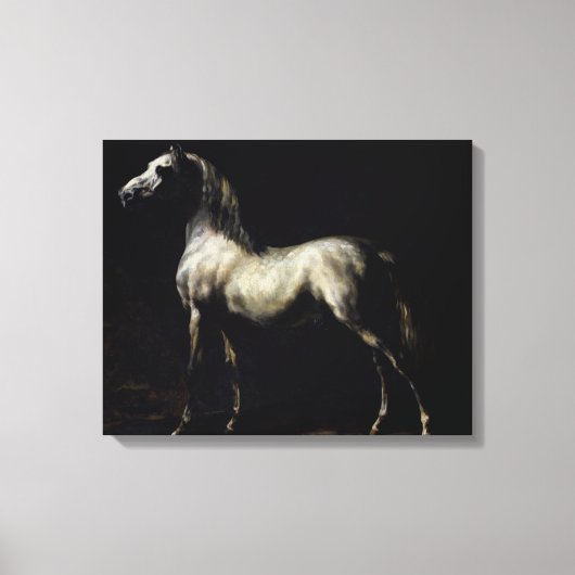 Studie van een Dapple Grey Canvas Afdruk (Voorkant)