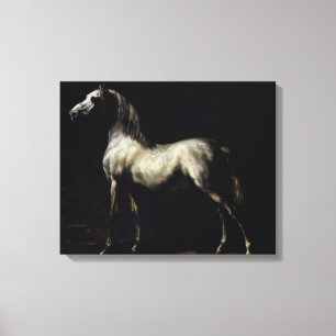 Studie van een Dapple Grey Canvas Afdruk