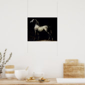 Studie van een Dapple Grey Poster (Keuken)