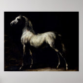 Studie van een Dapple Grey Poster (Voorkant)