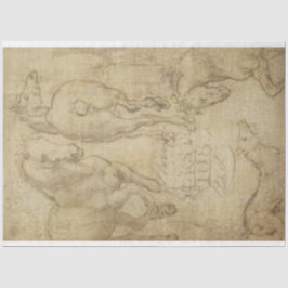 Studie van een document voor ontkoppeling van paar tissuepapier