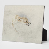 Studie van een forel Fox, naar rechts gericht: fla Fotoplaat (Zijkant)