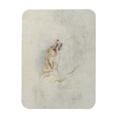 Studie van een forel Fox, naar rechts gericht: fla Magneet (Verticaal)