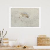 Studie van een forel Fox, naar rechts gericht: fla Poster (Keuken)
