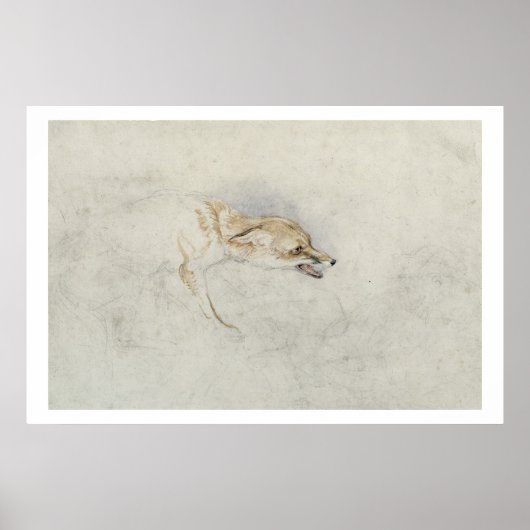 Studie van een forel Fox, naar rechts gericht: fla Poster (Voorkant)