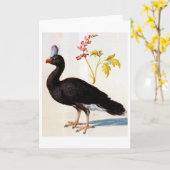 Studie van een Helmeted Curassow, Arcimboldo Kaart (Gele Bloem)