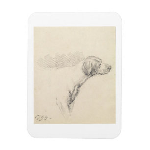 Studie van een hond, 1794 (potlood op papier) magneet