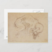 Studie van een hond briefkaart (Voorkant / Achterkant)