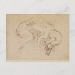 Studie van een hond briefkaart