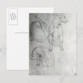 Studie van een hond en een kat, c.1480 briefkaart (Voorkant / Achterkant)