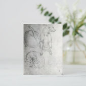 Studie van een hond en een kat, c.1480 briefkaart (Staand voorkant)