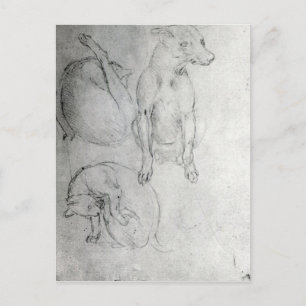 Studie van een hond en een kat, c.1480 briefkaart