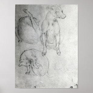 Studie van een hond en een kat, c.1480 poster