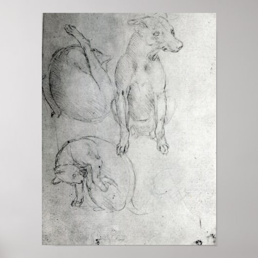 Studie van een hond en een kat, c.1480 poster (Voorkant)