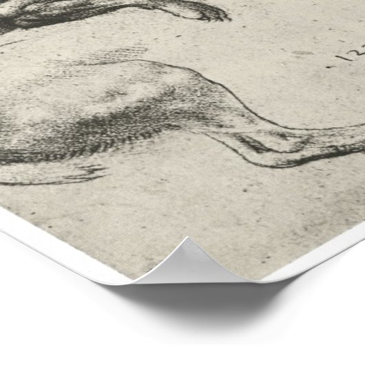 Studie van een hond, Leonardo Da Vinci Poster (Hoek)