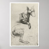 Studie van een hond, Leonardo Da Vinci Poster (Voorkant)