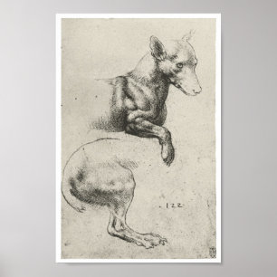 Studie van een hond, Leonardo Da Vinci Poster
