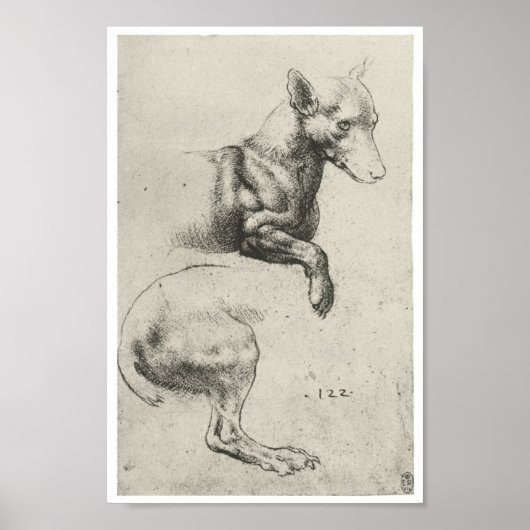 Studie van een hond, Leonardo Da Vinci Poster (Voorkant)