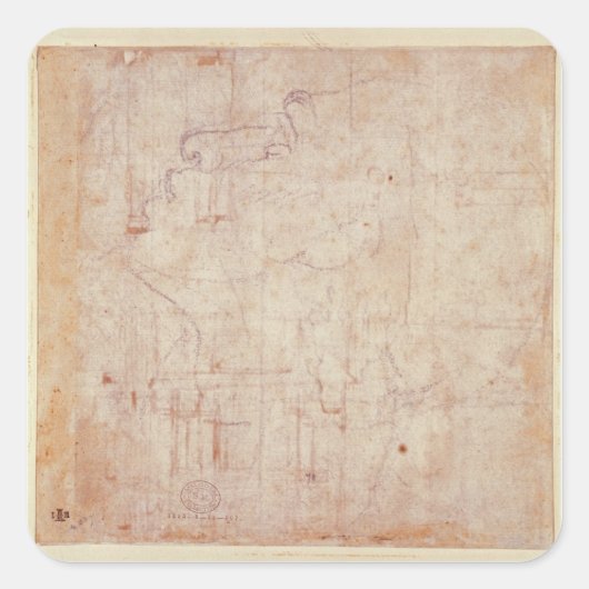 Studie van een hoofd, 1525-26 vierkante sticker (Voorkant)