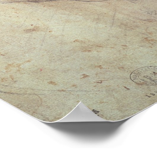 Studie van een hoofd poster (Hoek)