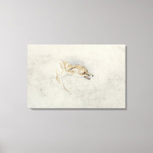 Studie van een kringende Fox, naar rechts gericht: Canvas Afdruk