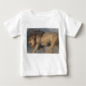 Studie van een leeuw (door Edwin Henry Landseer) (Voorkant)